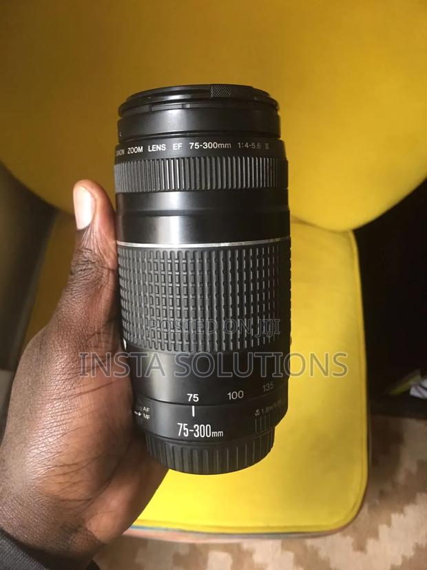 Canon 75_300mm Telephoto Zoom Lens