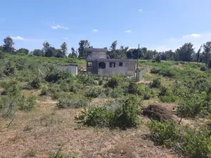 Prime 1/8th Acre Plots for Sale in Makutano Mwea - Ready Title Deeds