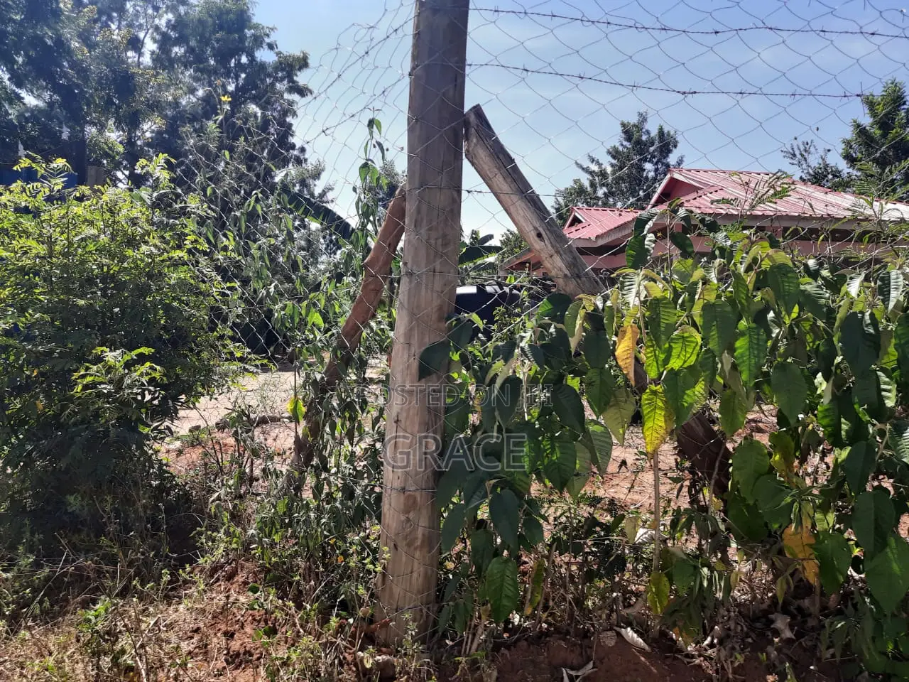 Prime 1/8th Acre Plots for Sale in Makutano Mwea - Ready Title Deeds