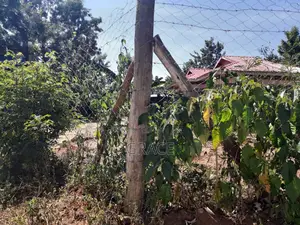 Prime 1/8th Acre Plots for Sale in Makutano Mwea - Ready Title Deeds