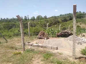 Prime 1/8th Acre Plots for Sale in Makutano Mwea - Ready Title Deeds