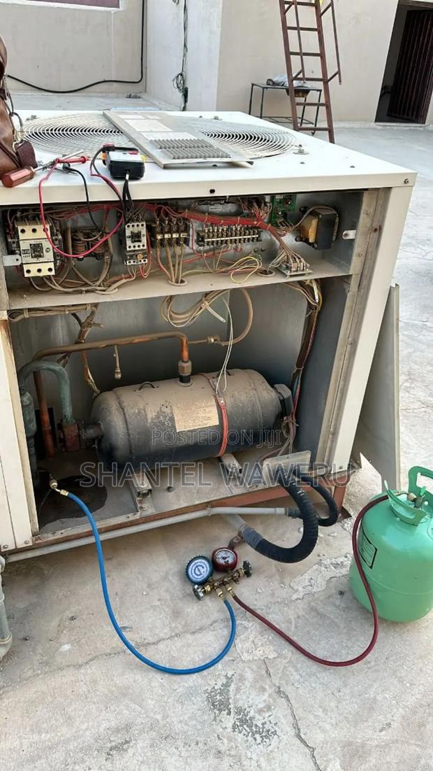 Cold Room. Installation - main view