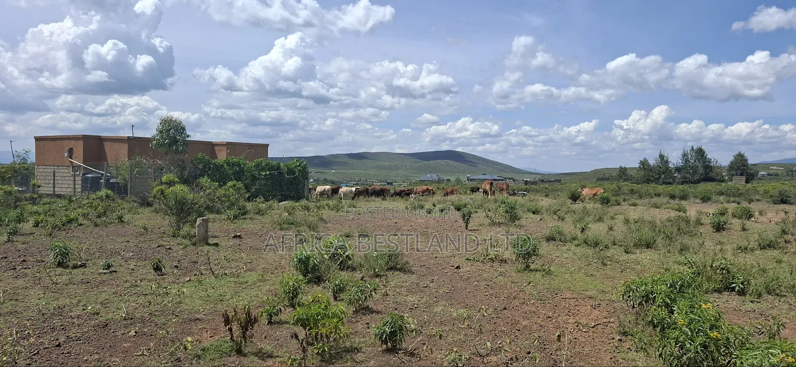 Gilgil Langa Langa 50x100 Residential Plot