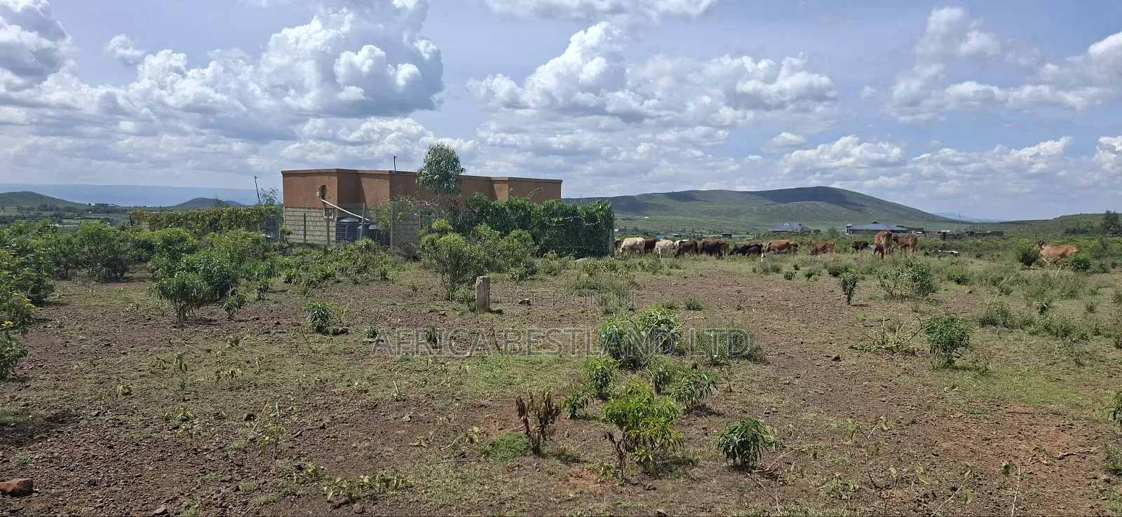 Gilgil Langa Langa 50x100 Residential Plot