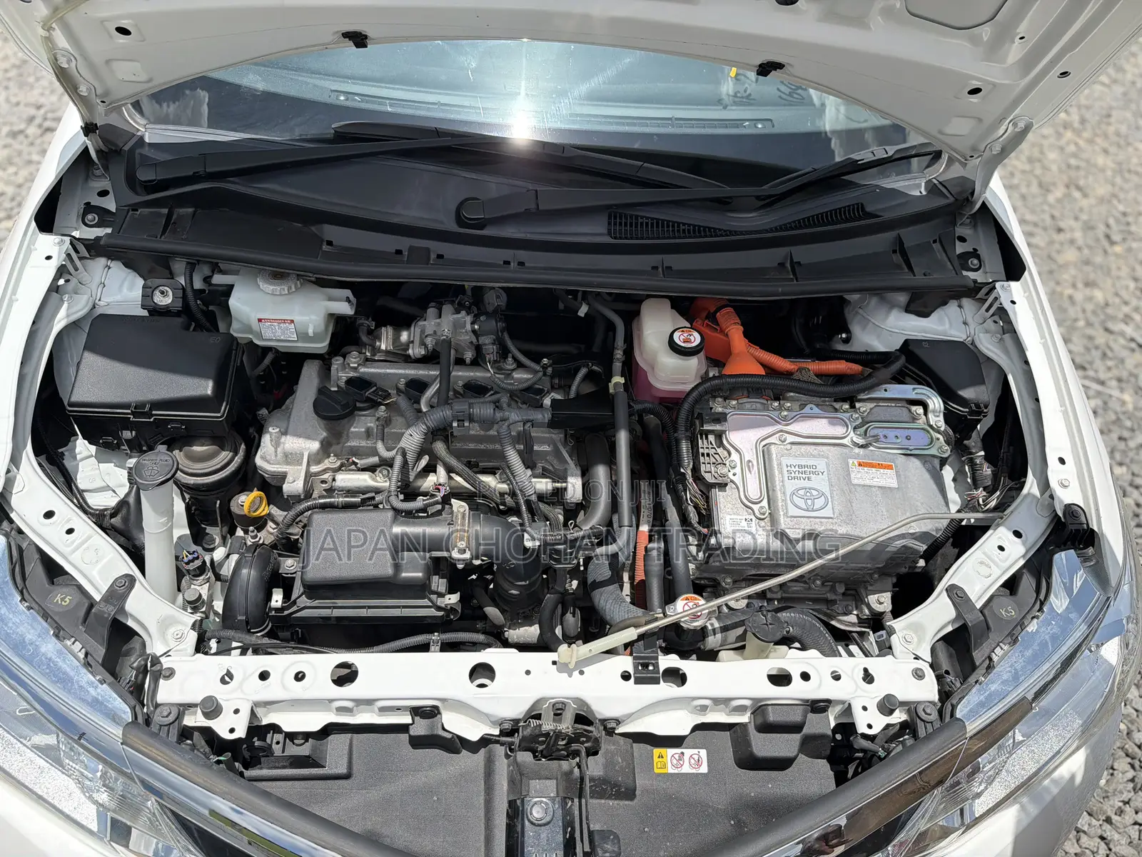 Toyota Axio 1.5 Hybrid 2WD 2019 White