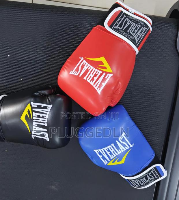 Everlast Pro Boxing Training Gloves, - main view
