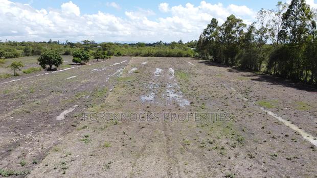 Amani Estate, Kyeleni. - main view