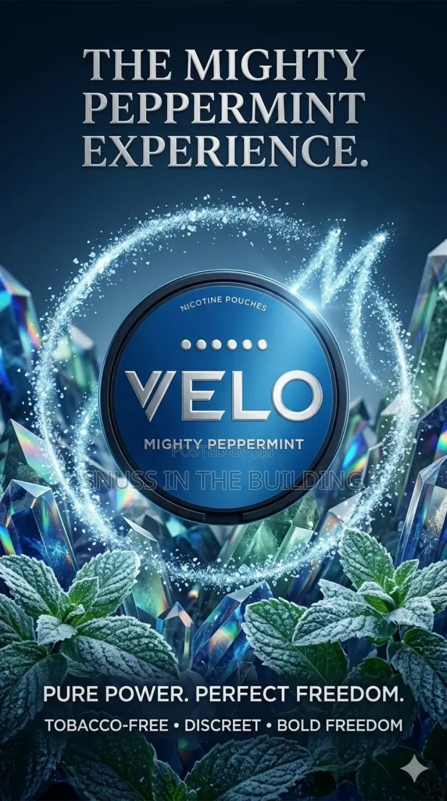 Mighty Peppermint 6 Dot V