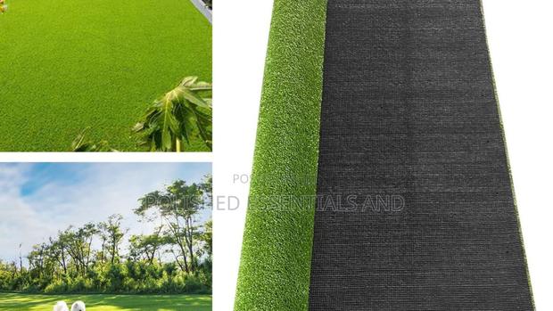 Beautiful Green Space With Turf Grass Carpets - main view