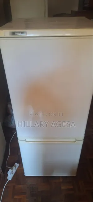 Fridge Gas Refill Services