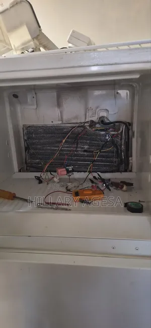 Fridge Wiring and General Service