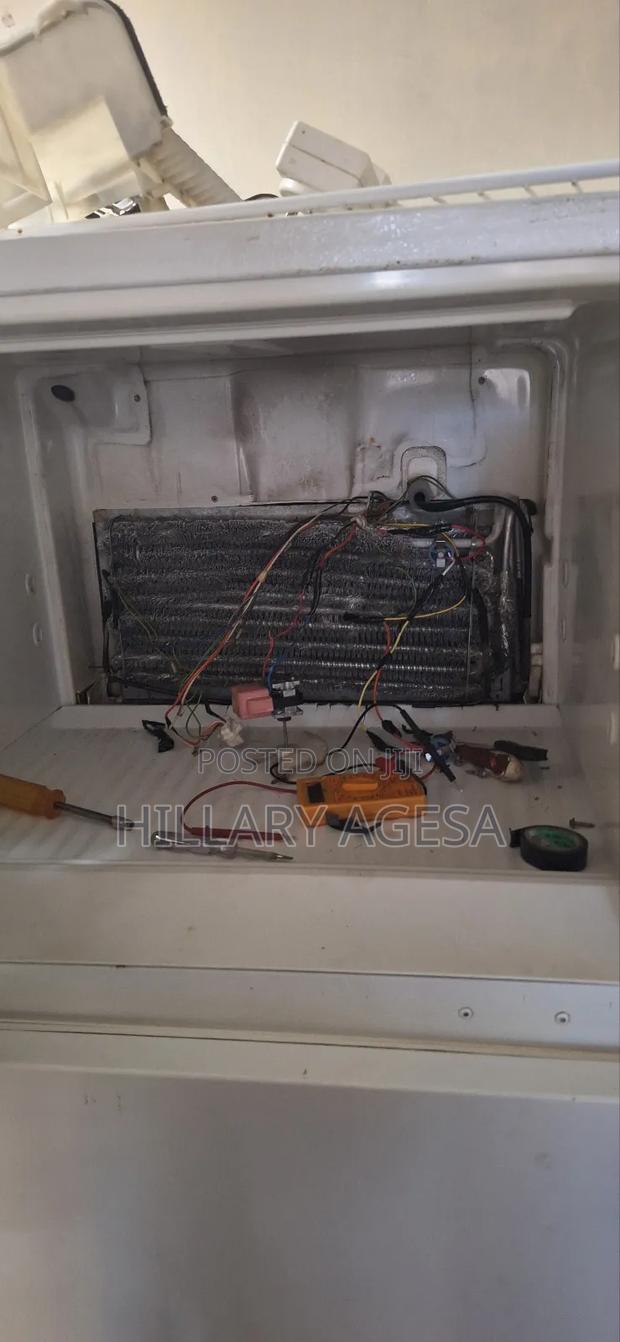 Fridge Wiring and General Service - main view