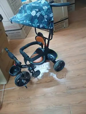 Multi-Purpose Tricycle With Weather Canopy