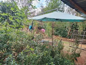 Furnished 1bdrm Bungalow in Karen C for rent