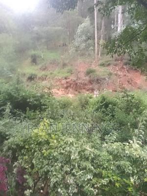 Residential Land - thumbnail 2