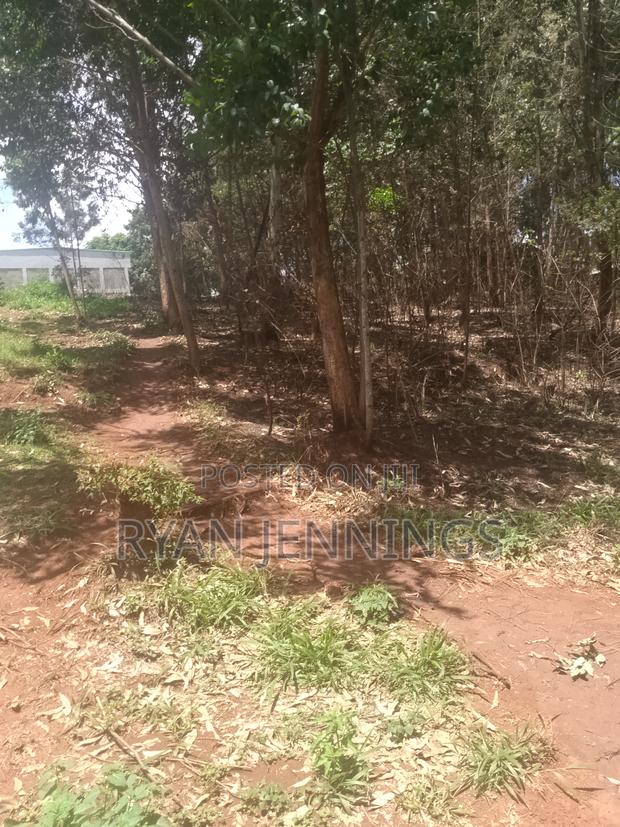 Residential Land - thumbnail 5