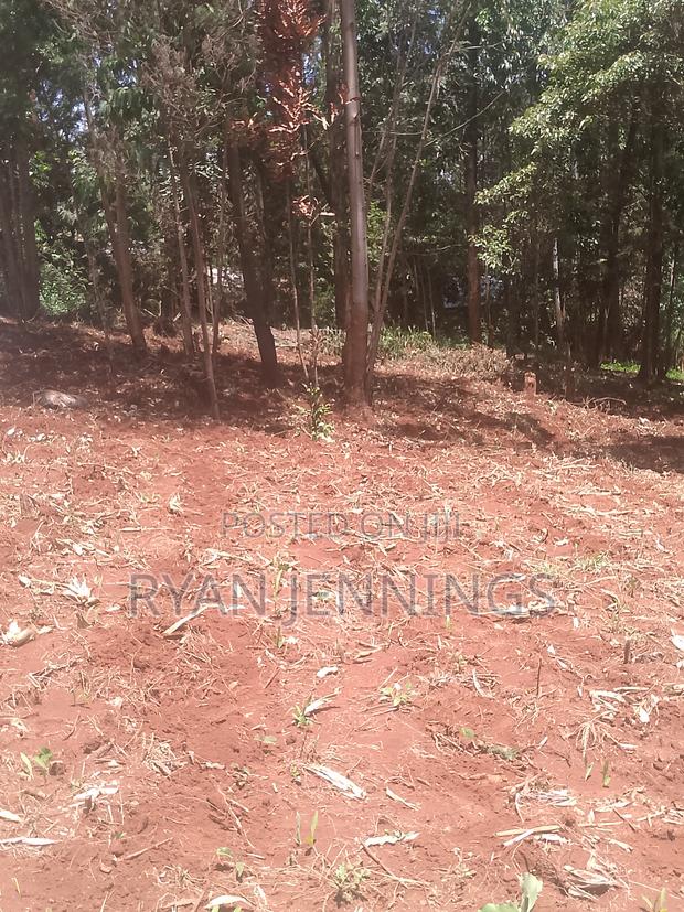 Residential Land - thumbnail 6