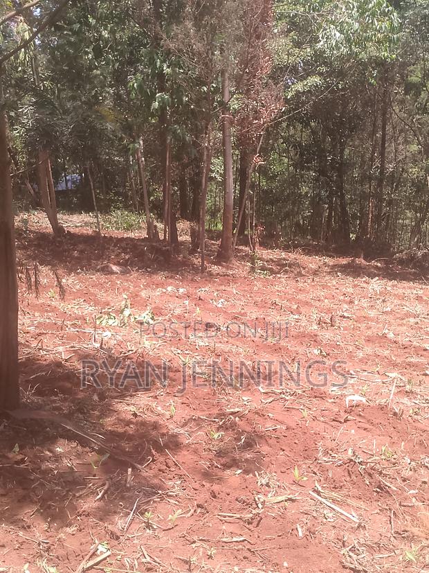 Residential Land - thumbnail 7