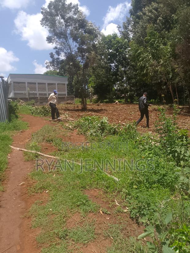 Residential Land - thumbnail 9