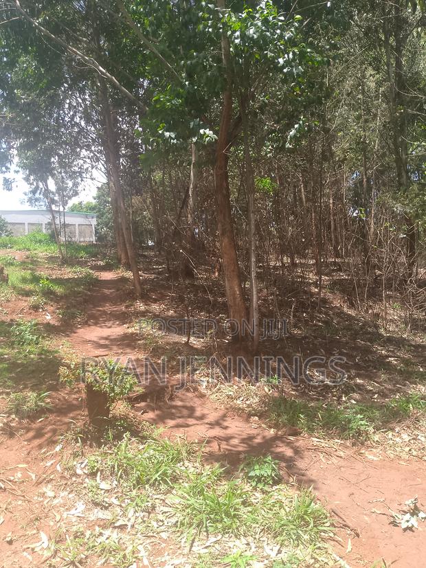 Residential Land - thumbnail 10