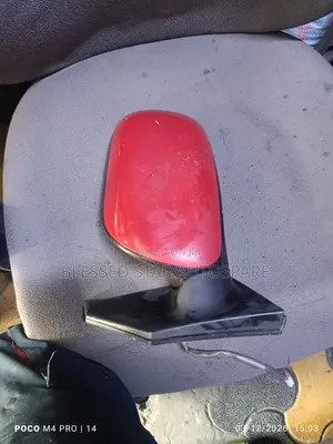 Premio 240 Side Mirror