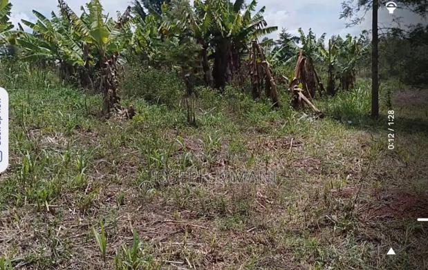 Land for Sale - thumbnail 2