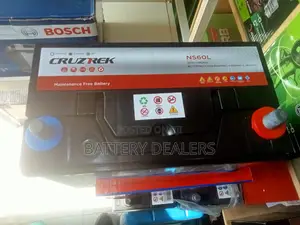 Cruztrek Ns60l