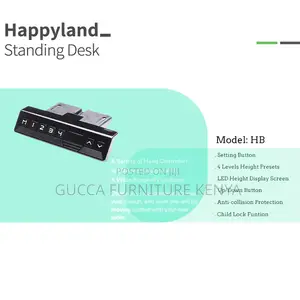 Black Ergonomic Electric Office Standing Desk