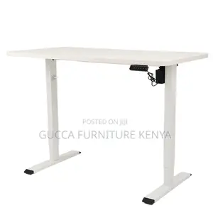 Black Ergonomic Electric Office Standing Desk