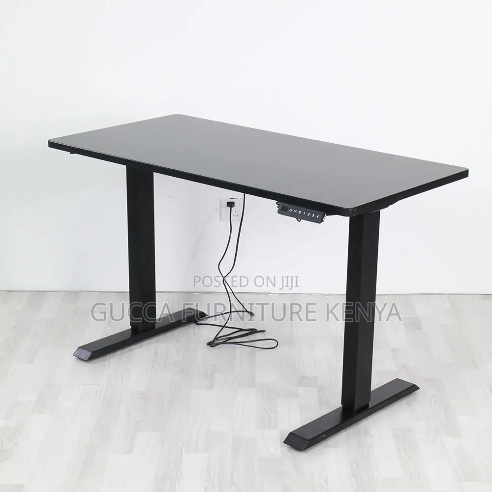 Black Ergonomic Electric Office Standing Desk
