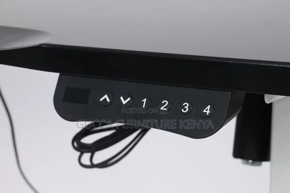 Black Ergonomic Electric Office Standing Desk