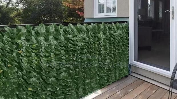 Lush and Green Fence - main view