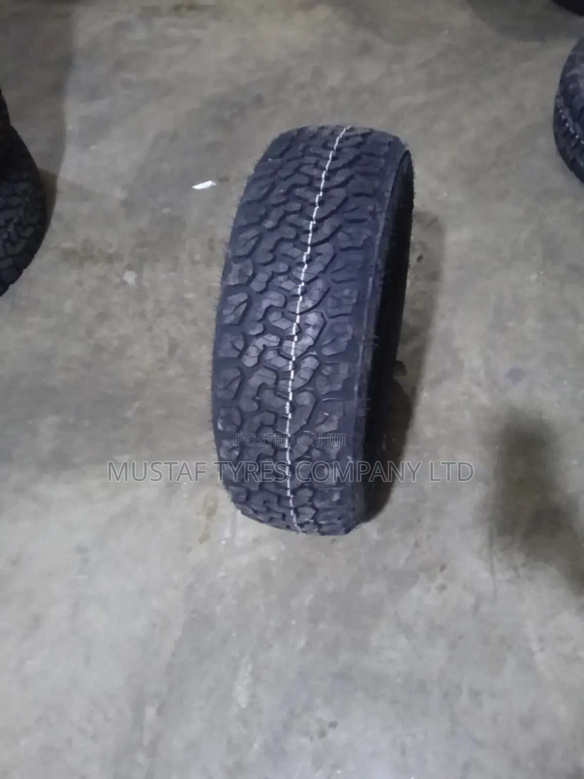 Everland 205/60r16 At