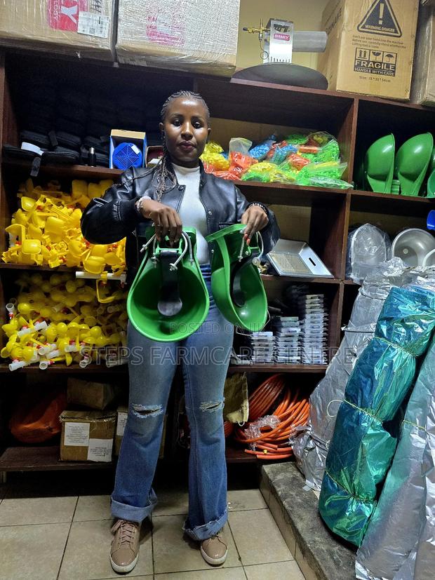 Plastic Auto Cow Drinker Bowls With Black Paddle - main view