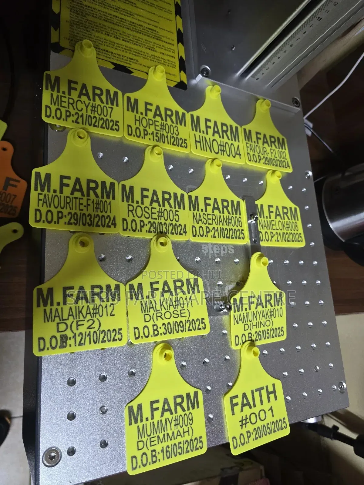 Large Cattle Laser Customised/Branded Identification Tags