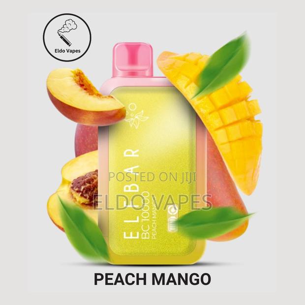 Elfbar Bc 10000 Puffs Rechargeable Vape - Peach Mango