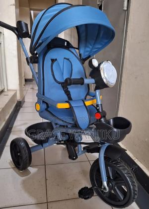 Kids Push Handle Tricycle With Canopy Shed - thumbnail 2