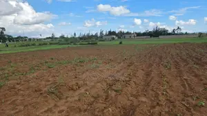 Kilimambogo