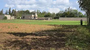 Kilimambogo