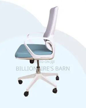 White Ergonomic Mesh Office Chair Mid Back Lumbar Support Modern