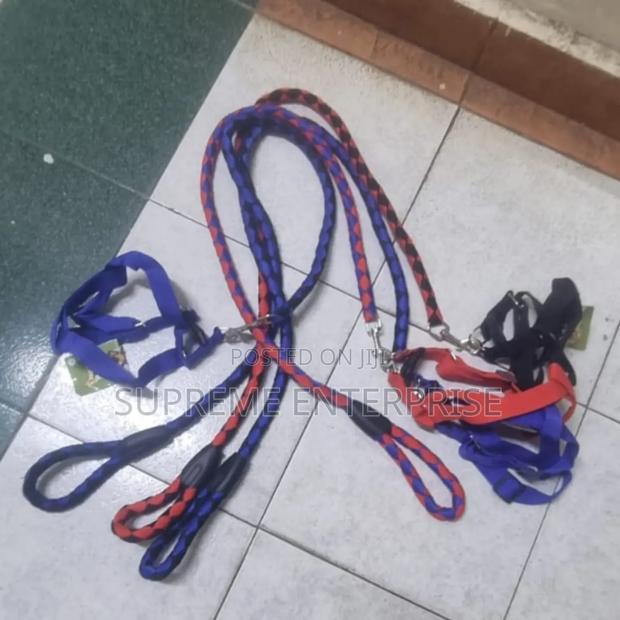 Dog Leash .Dog Leash