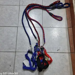 Dog Leash/ Big Dog Leash