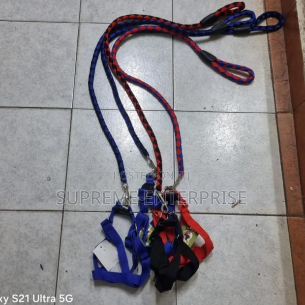 Dog Leash/ Big Dog Leash