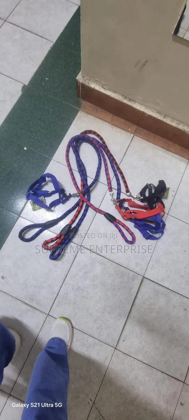 Dog Leash/ Big Dog Leash - thumbnail 2