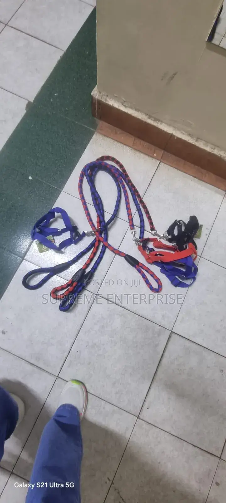 Dog Leash/ Big Dog Leash