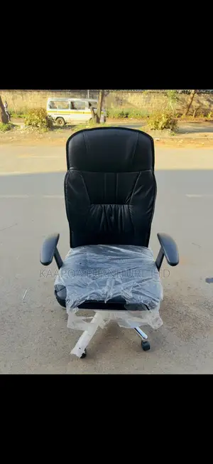 Large Executive Orthopedic Office Chair