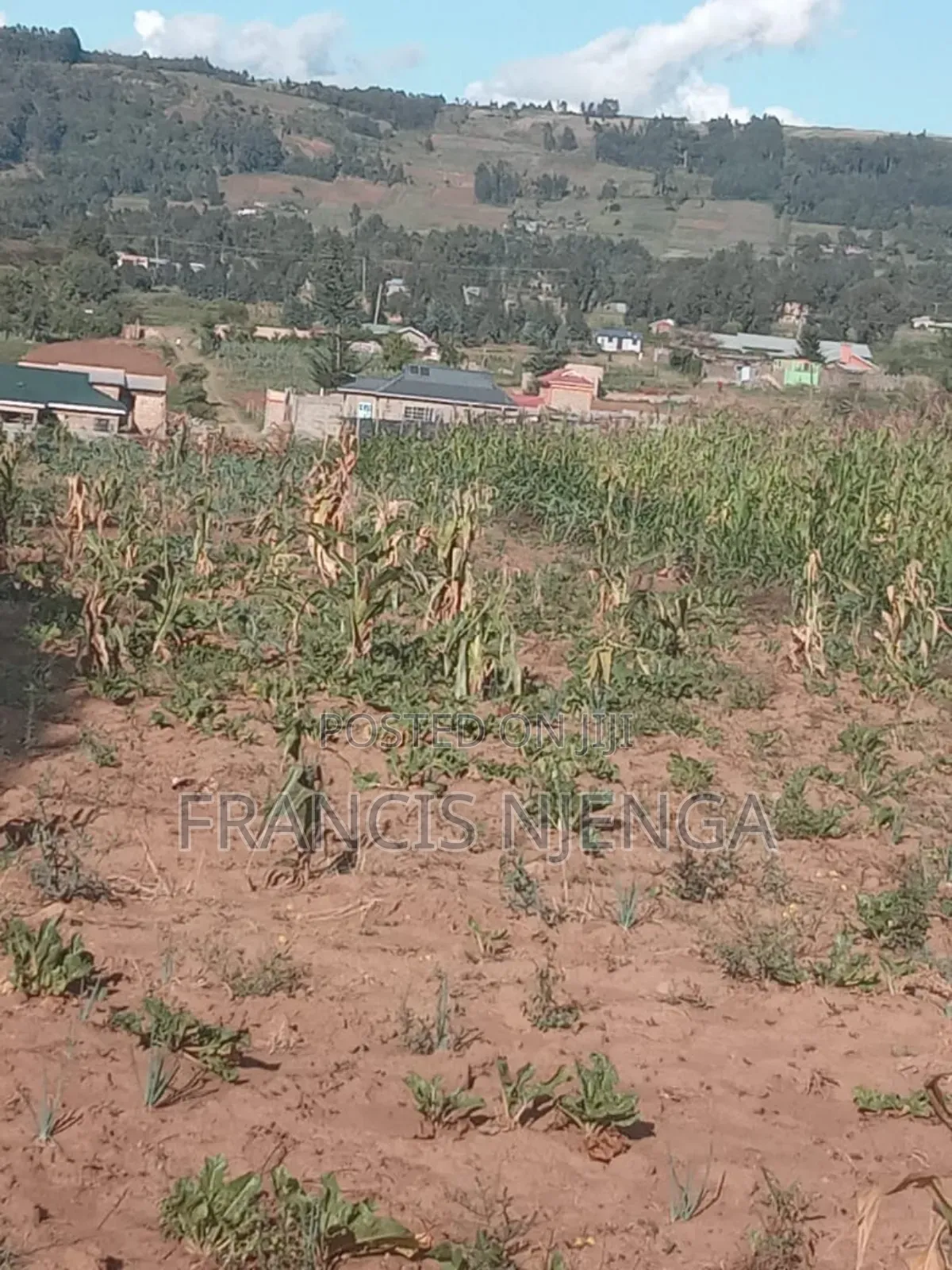 Plot for Sale