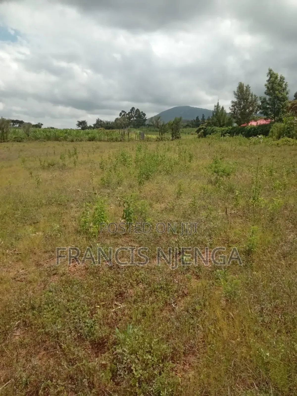 Plot for Sale