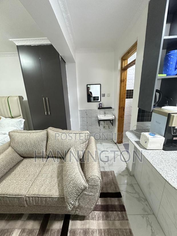 Studio Airbnb in Ruaka - main view