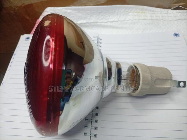250 W Brooding Bulbs With Ceramic Holders - thumbnail 2